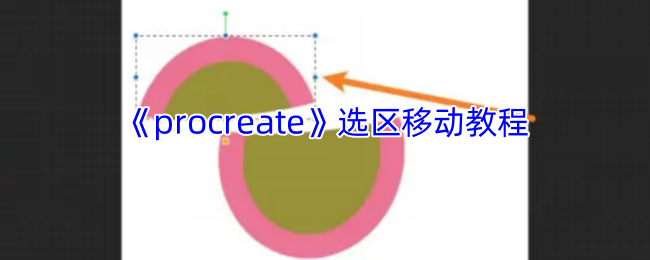 《procreate》选区移动教程