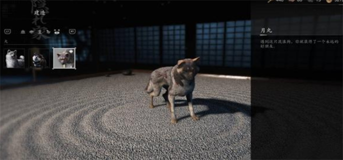 刺客信条影忠犬伸冤支线任务完成攻略图八