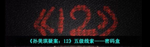 《孙美琪疑案：12》五级线索——密码盒