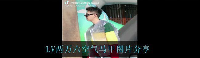 LV两万六空气马甲图片分享