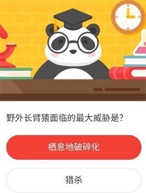 2020《微博》12月17日森林驿站每日一题答案