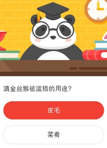 2021《微博》1月28日森林驿站每日一题答案