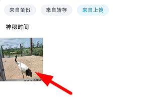 《百度网盘》照片保存到手机相册方法详细介绍
