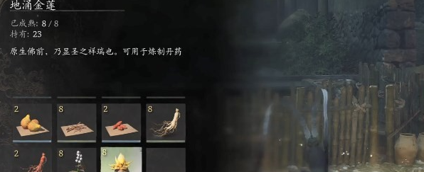 《黑神话悟空》地莲种子获取方法
