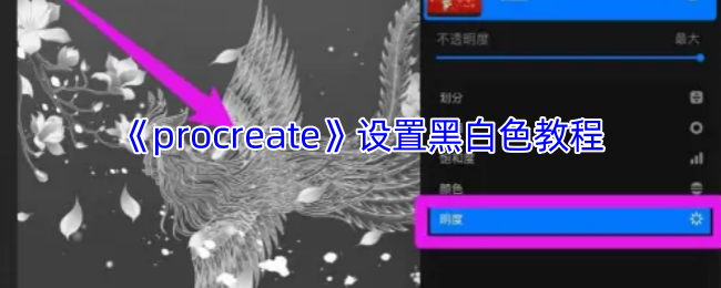 《procreate》设置黑白色教程