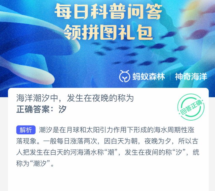 海洋潮汐中，发生在夜晚的现象叫什么