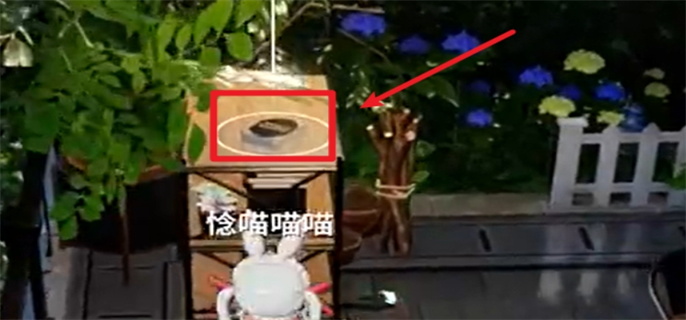 开放空间罗塔花园广场书籍位置大全图二