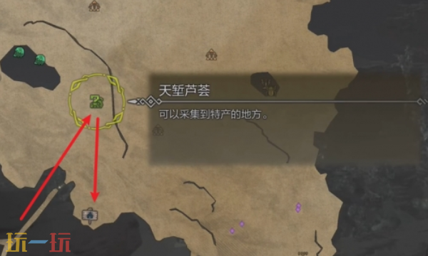 怪物猎人荒野营地位置一览 怪物猎人荒野全营地位置在哪