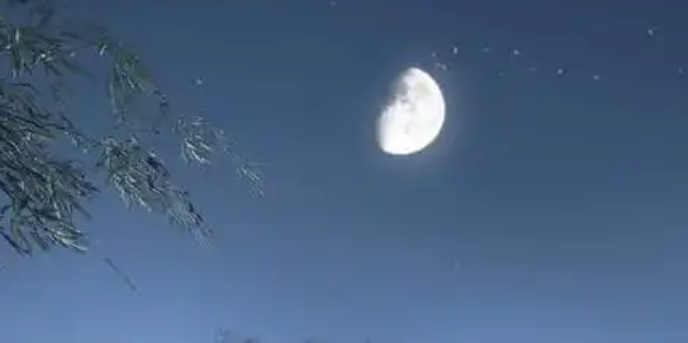 逆水寒手游童稚之交奇遇攻略