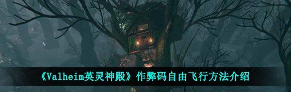 《Valheim英灵神殿》作弊码自由飞行方法介绍