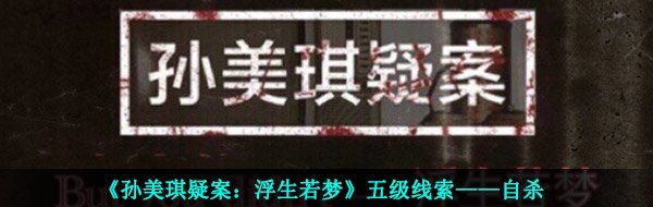 《孙美琪疑案：浮生若梦》五级线索——自杀