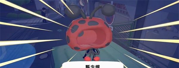 《小猫咪大城市》瓢虫帽收集方法