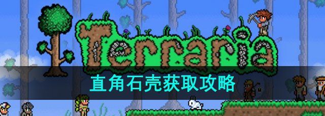 《泰拉瑞亚》直角石壳获取攻略