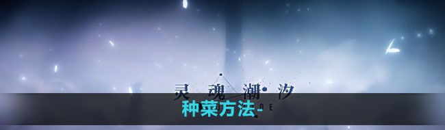 《灵魂潮汐》种菜方法