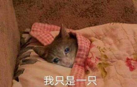手脚冰凉的跟s了好几天样的 冬天别来了 没命过表情包大全分享