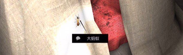 《孙美琪疑案：12》四级线索——大蚂蚁