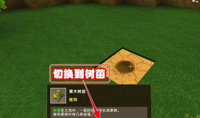 《迷你世界》种树方法
