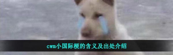 cwm小国际梗的含义及出处介绍