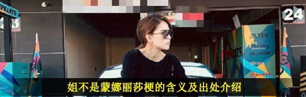 姐不是蒙娜丽莎梗的含义及出处介绍