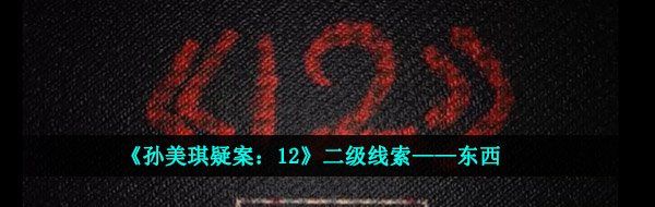 《孙美琪疑案：12》二级线索——东西