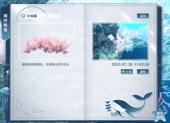 《QQ浏览器》倍速播放设置方法介绍