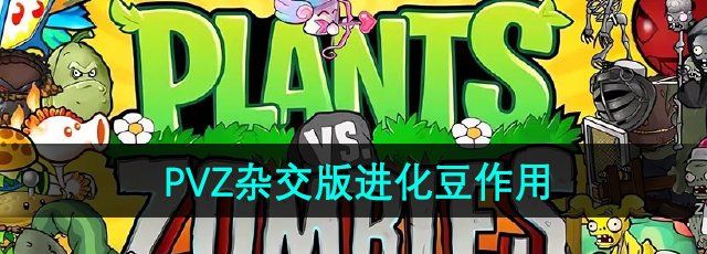 《植物大战僵尸杂交版》进化豆作用介绍