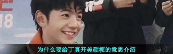 为什么要给丁真开美颜梗的意思介绍