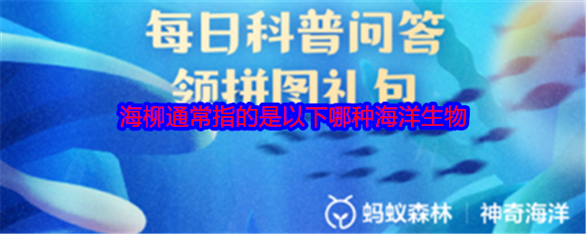 海柳通常指的是以下哪种海洋生物