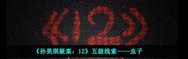 《孙美琪疑案：12》五级线索——虫子